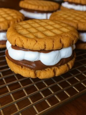Peanut Butter S’mores Sandwich Cookies